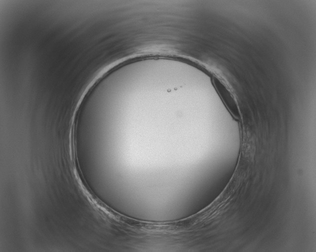 X0000083531295200702240008