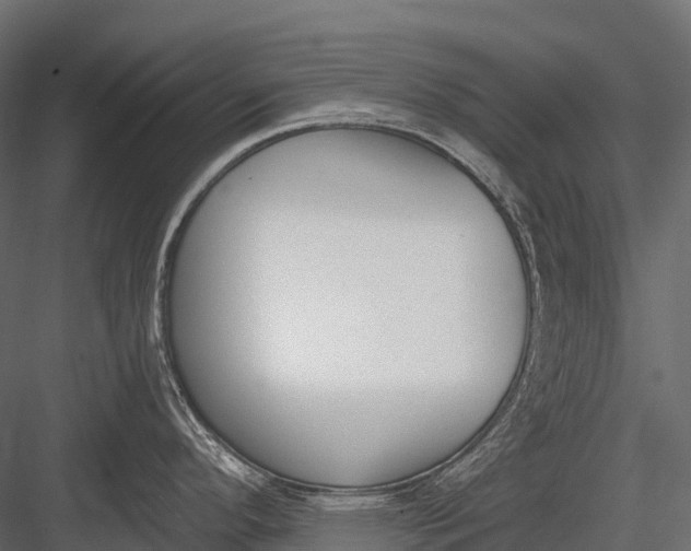 X0000083531296200702240008