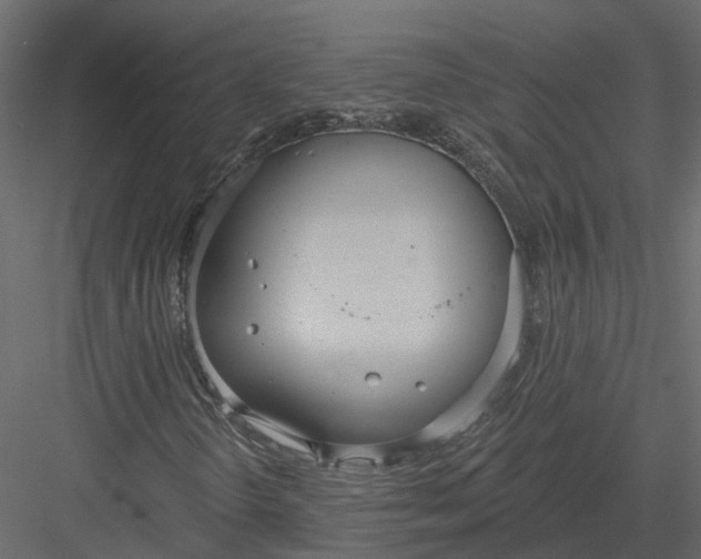 X0000083531298200702240007