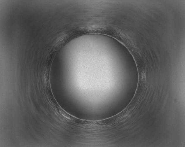 X0000083531300200702240007