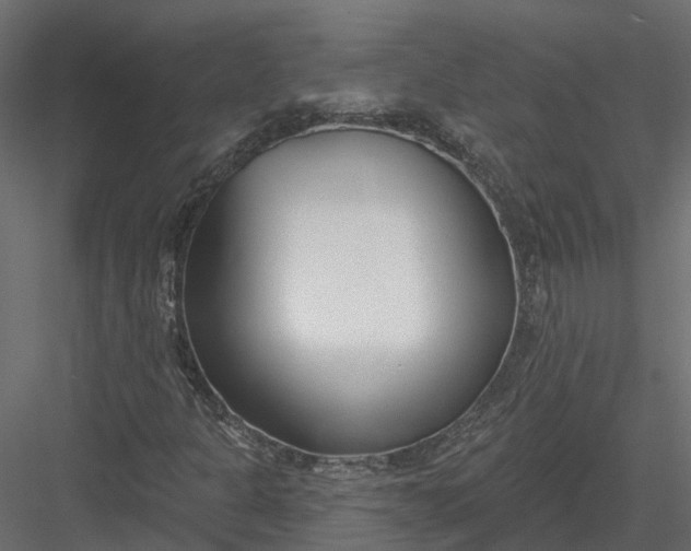 X0000083531301200702240007