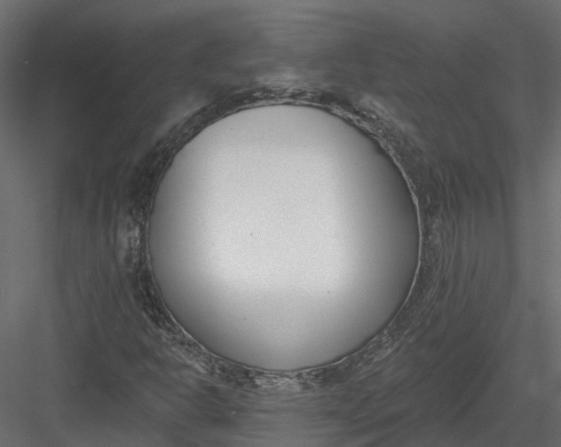 X0000083531302200702240007