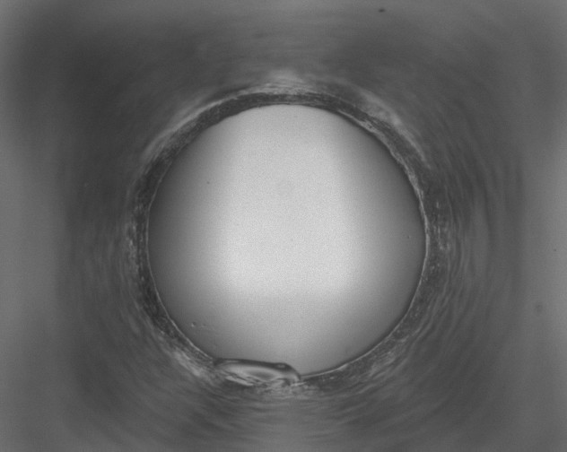 X0000083531304200702240007