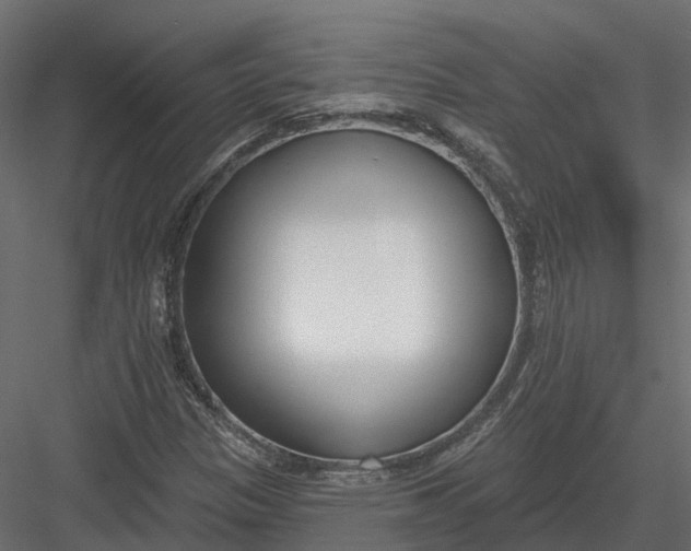 X0000083531305200702240007