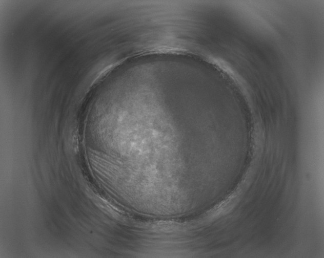 X0000083531306200702240007