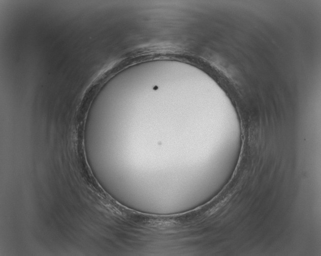 X0000083531309200702240007