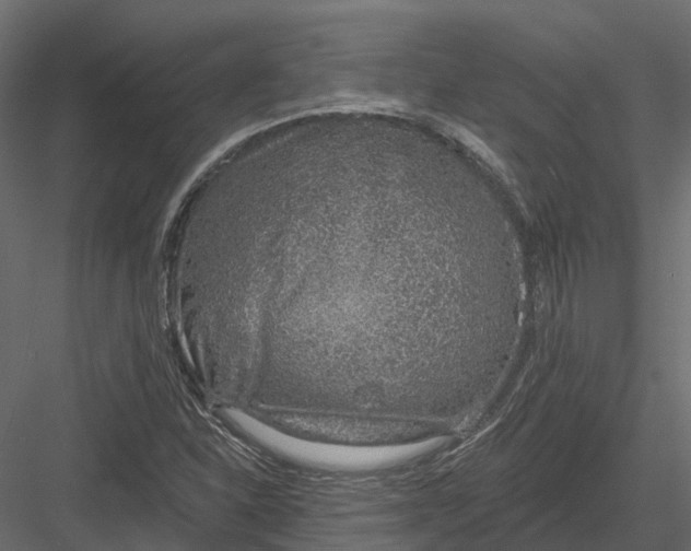 X0000083531310200702240007