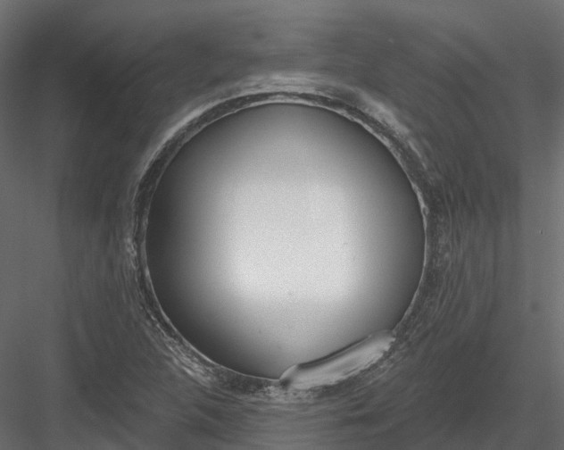 X0000083531312200702240007