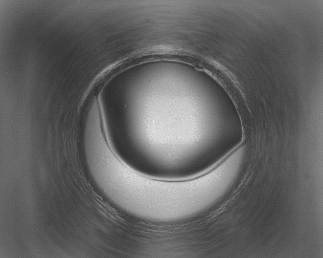 X0000083531314200702240007