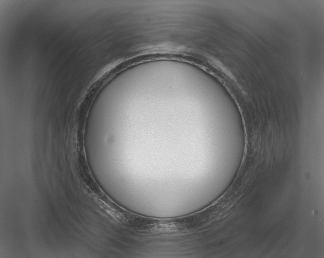 X0000083531315200702240007