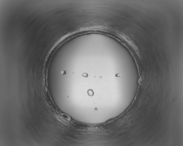 X0000083531316200702240008