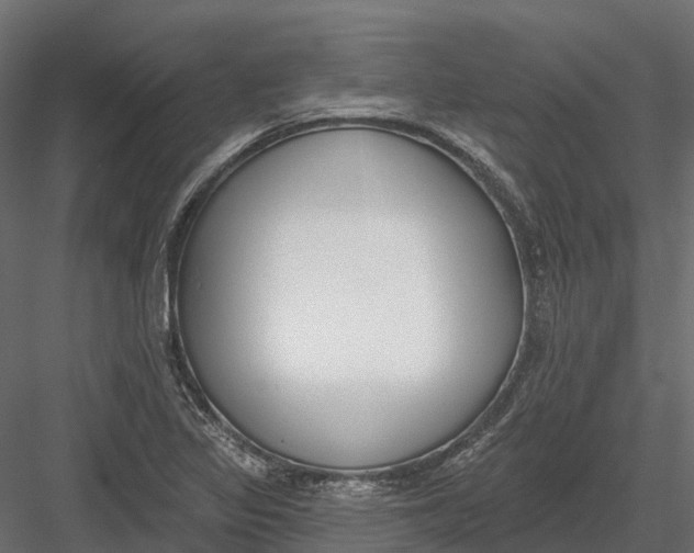 X0000083531317200702240008