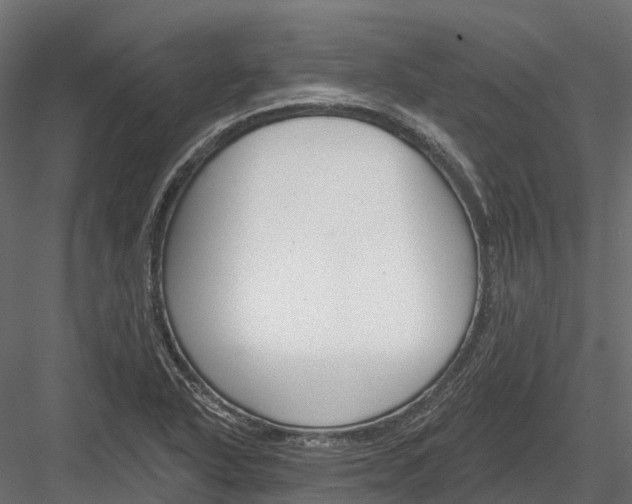 X0000083531318200702240008