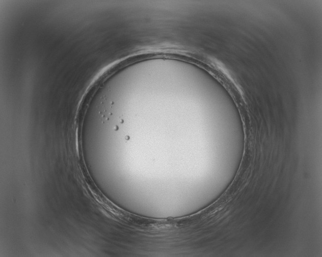 X0000083531320200702240008