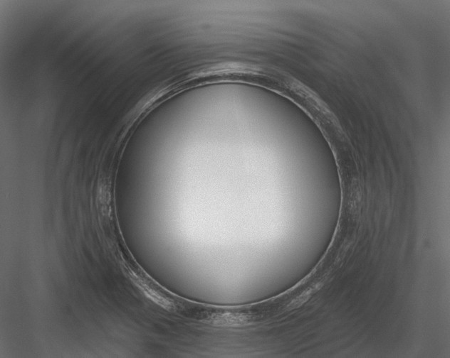 X0000083531321200702240008