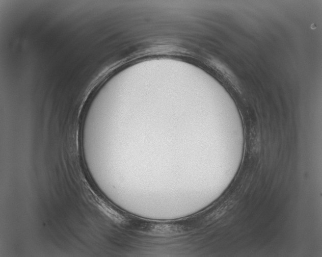 X0000083531322200702240008