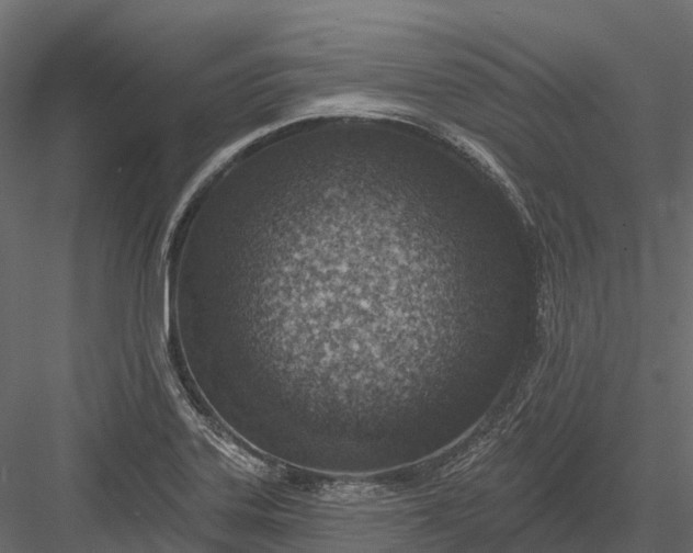 X0000083531323200702240008