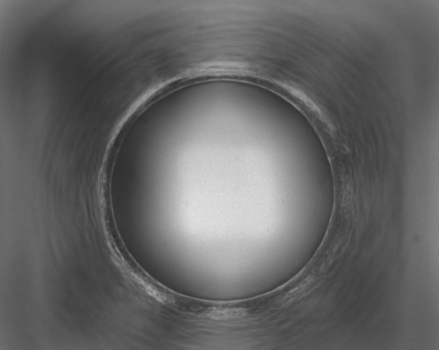 X0000083531325200702240008