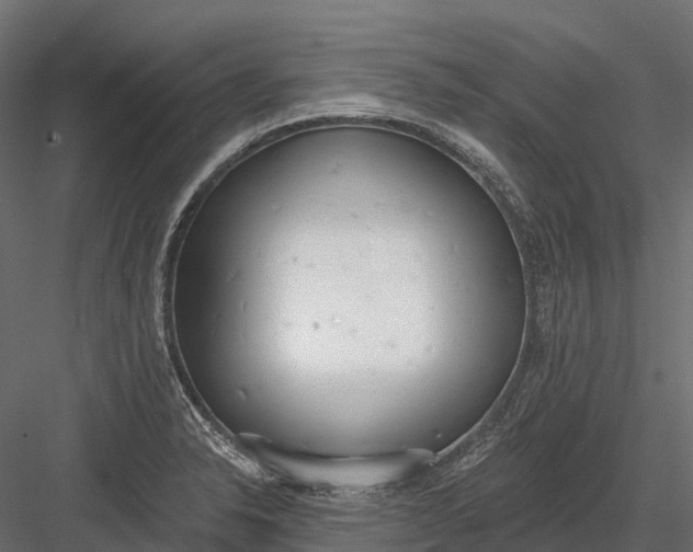 X0000083531326200702240008