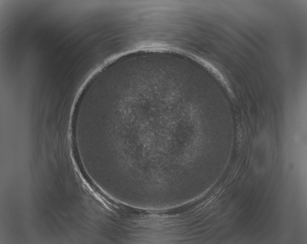 X0000083531327200702240008