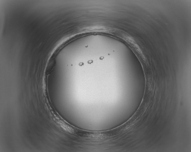 X0000083531328200702240008