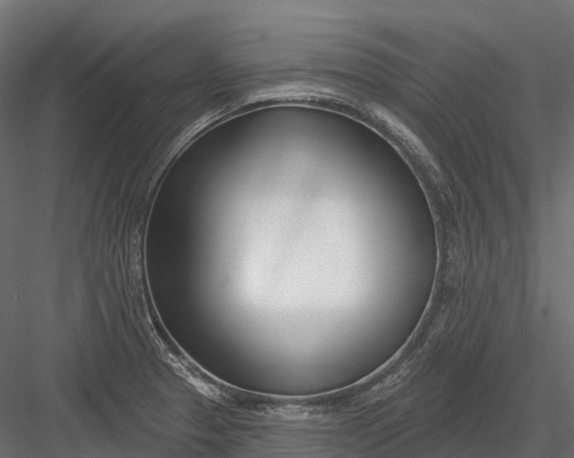 X0000083531329200702240008