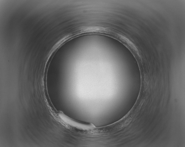 X0000083531330200702240008