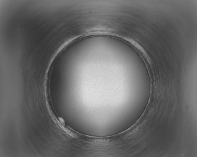 X0000083531333200702240008