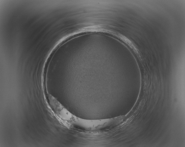 X0000083531334200702240008