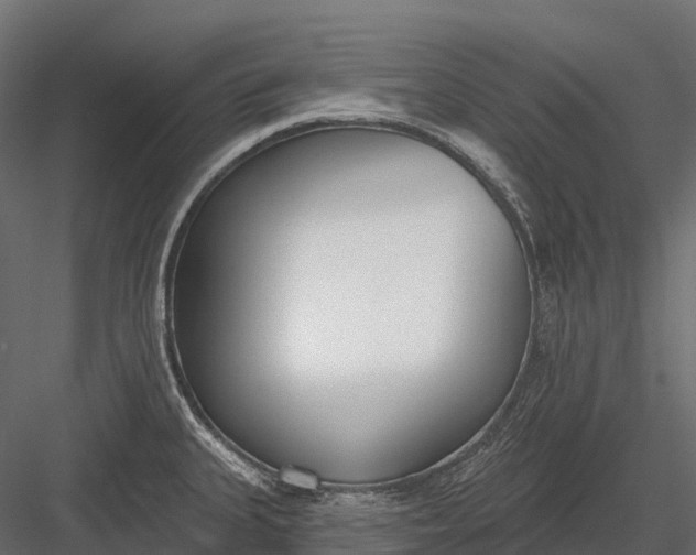 X0000083531335200702240008