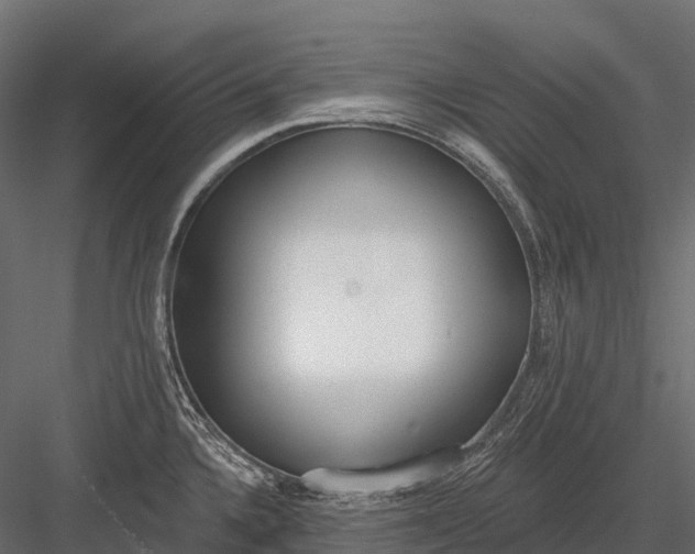 X0000083531336200702240008