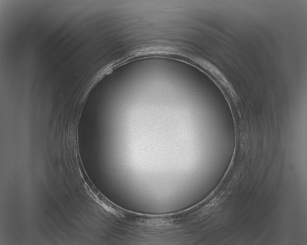 X0000083531337200702240008