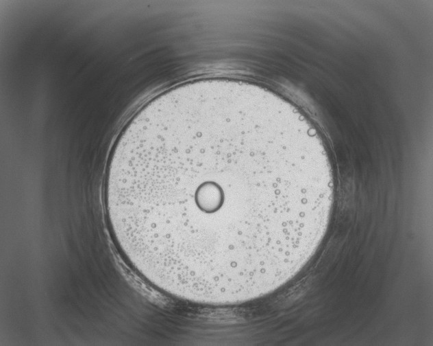 X0000083531338200702240008