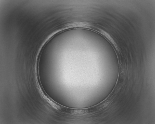 X0000083531339200702240008