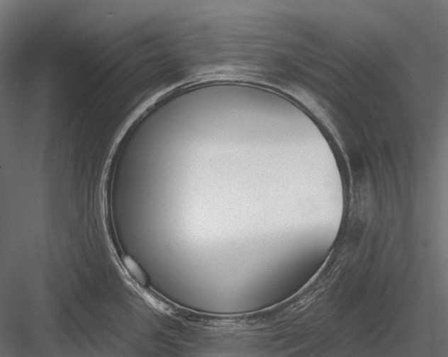 X0000083531341200702240008