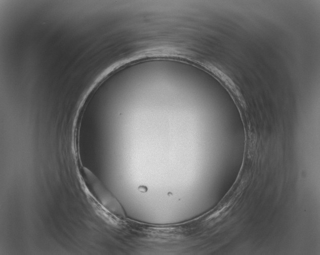 X0000083531342200702240008