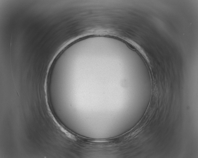 X0000083531343200702240008