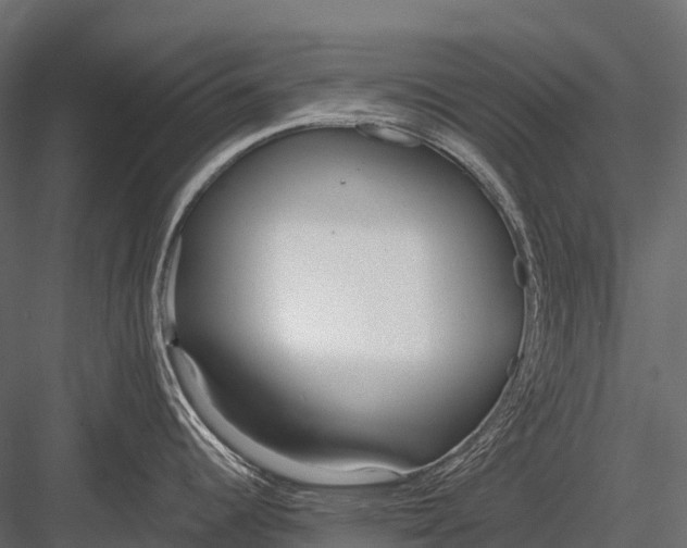 X0000083531344200702240008