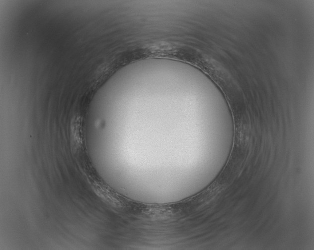 X0000083531346200702240007