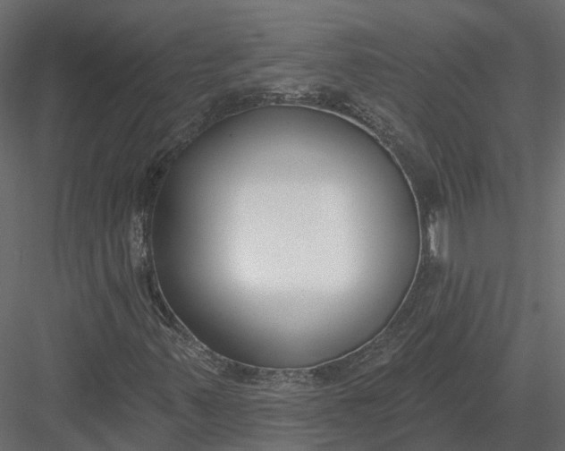 X0000083531347200702240007