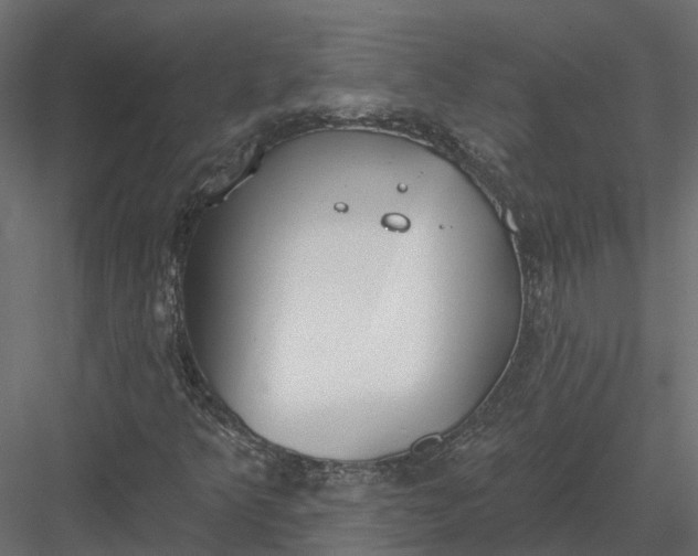 X0000083531349200702240007