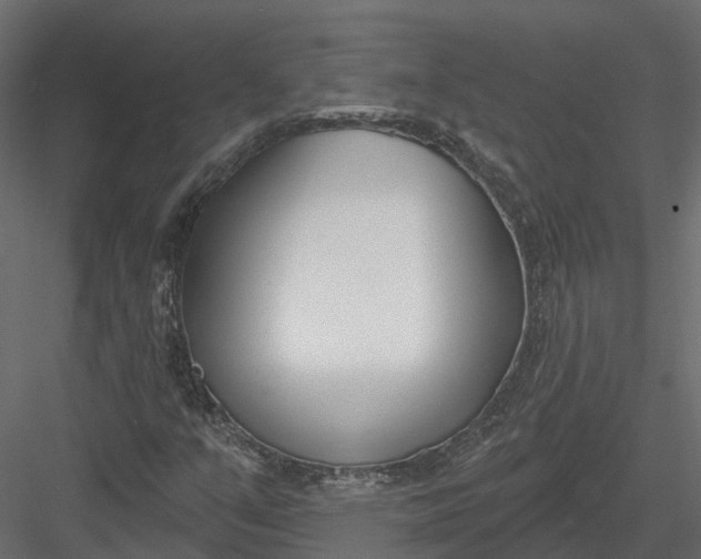 X0000083531351200702240007