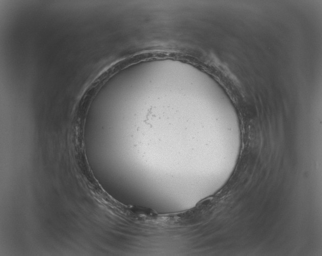 X0000083531352200702240007