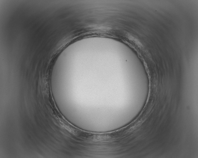 X0000083531354200702240007