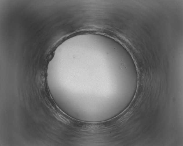 X0000083531355200702240007