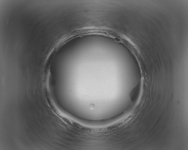 X0000083531357200702240007