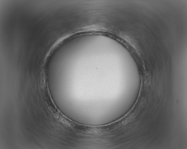 X0000083531358200702240007