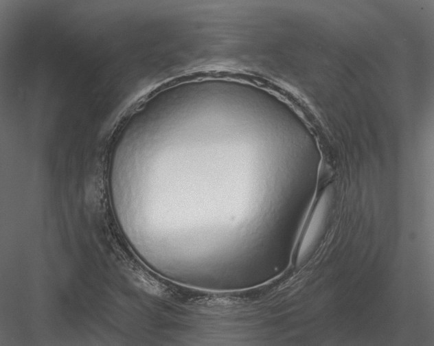 X0000083531359200702240007