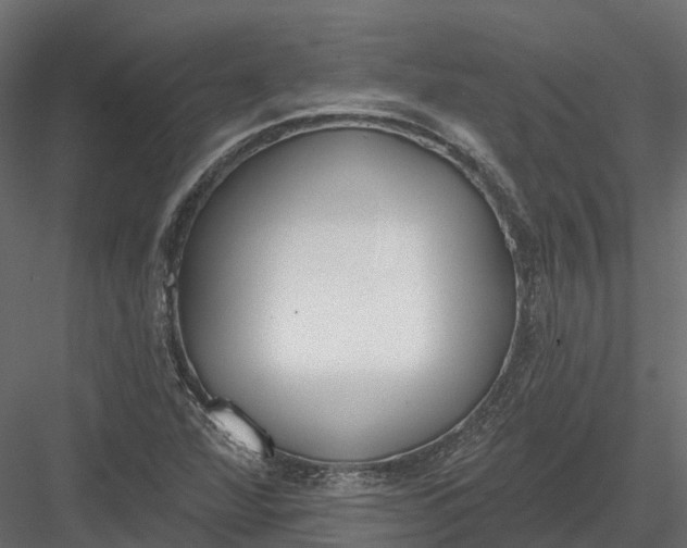 X0000083531360200702240007