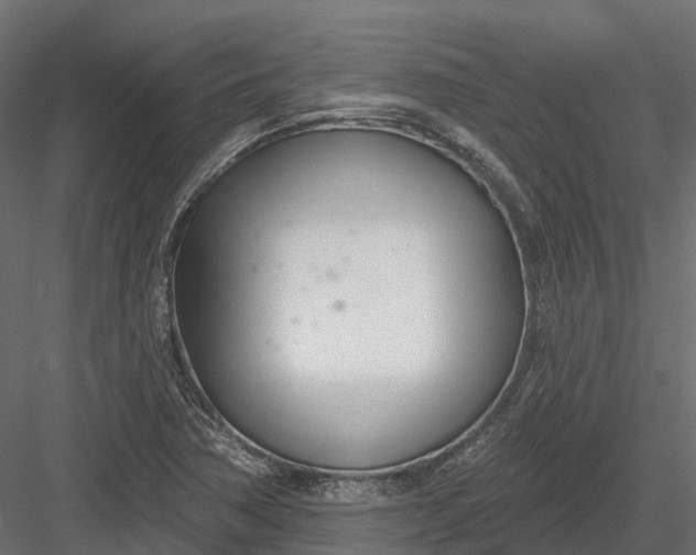 X0000083531362200702240007